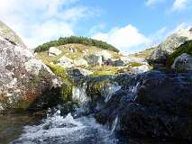 262: P1010028