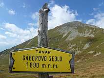 270: P1010037