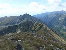 277: P1010051