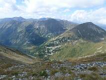 278: P1010052