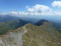 285: P1010063
