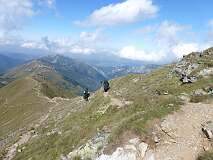 294: P1010074