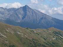 296: P1010077