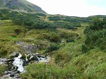 302: P1010091
