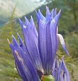 305: P1010095