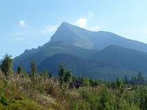 320: P1010129
