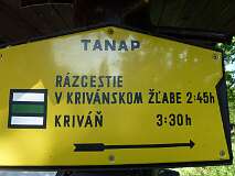 323: P1010132