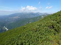 328: P1010137