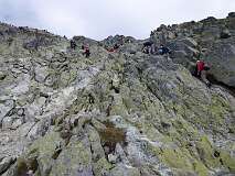 342: P1010157