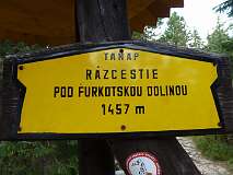 381: P1010211