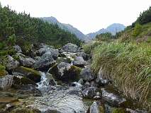 383: P1010215