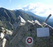391: P1010244