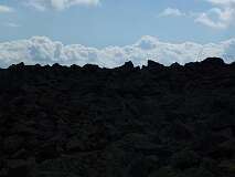 415: P1010299