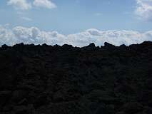 417: P1010301