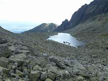422: P1010306
