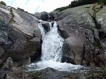 449: P1010351