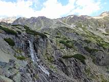 451: P1010354