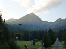 455: P1010363