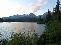 458: P1010367