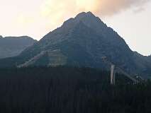460: P1010369