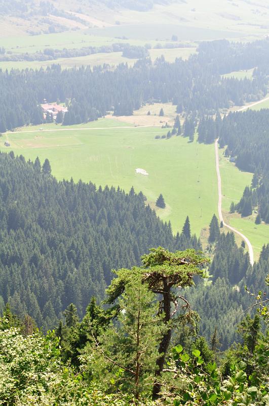 Original image
