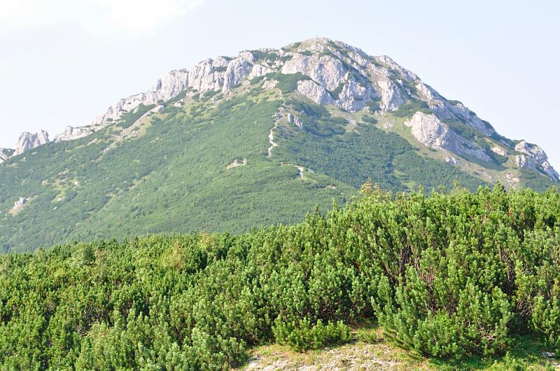 Original image