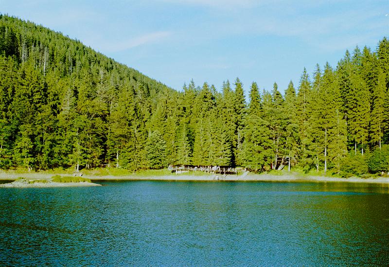 Original image