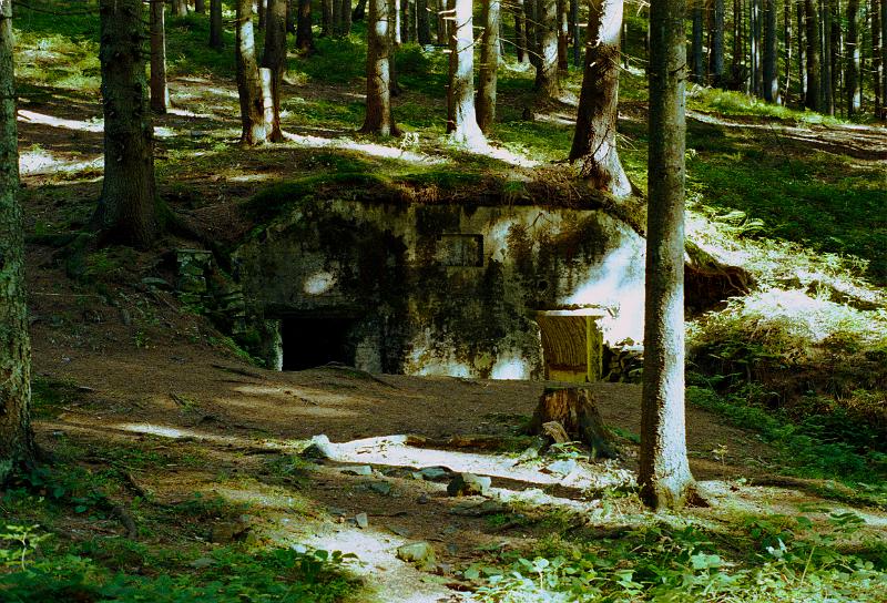 Original image