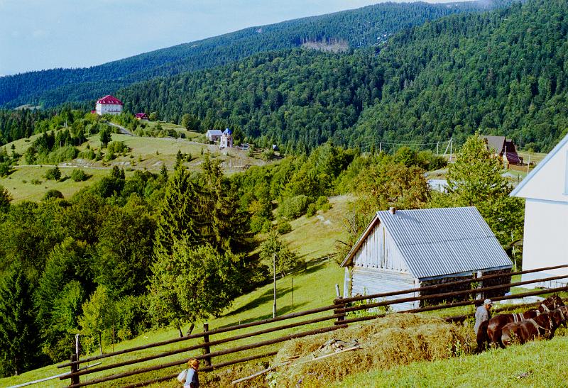 Original image