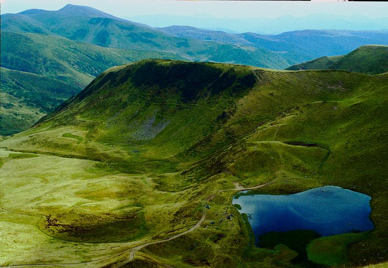 Original image