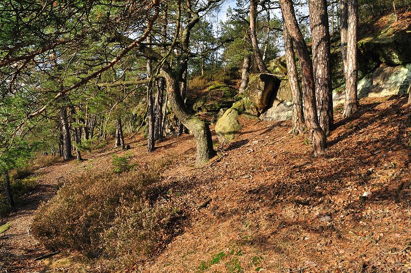 Original image