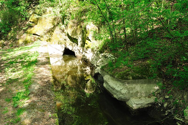 Original image