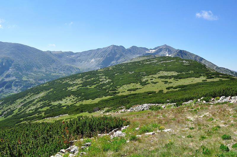 Original image