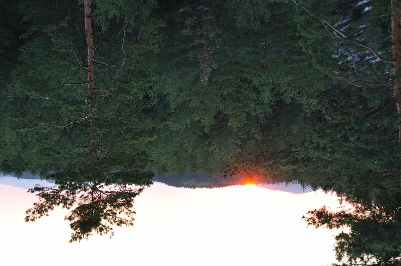 Original image