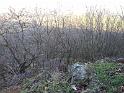 IMG_20200101_095259701