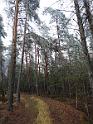 IMG_20201128_123614311