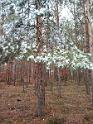 IMG_20201129_121727613