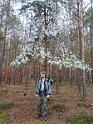 IMG_20201129_121820538