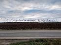 IMG_20201129_150050418_HDR
