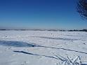 IMG_20210214_115226505