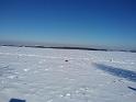 IMG_20210214_115229403