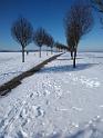 IMG_20210214_115248323