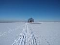 IMG_20210214_124019397