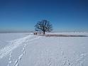 IMG_20210214_124102660