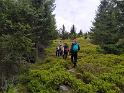 IMG_20210529_132517_21053023518025_f