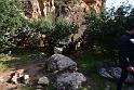 DSB_9918