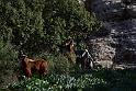 DSB_9923