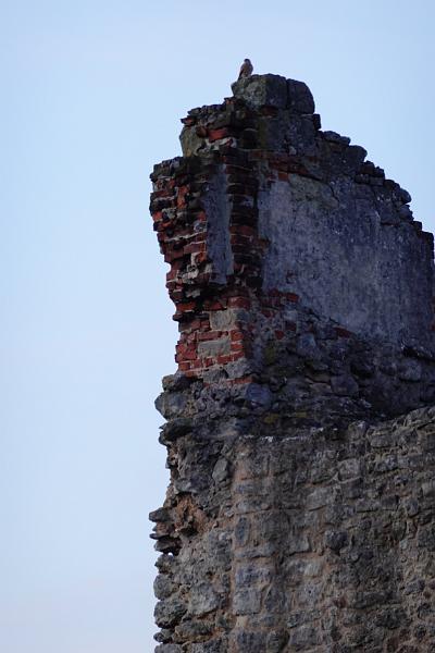 Original image