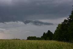49: DSC_2191