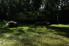 7: DSC00175
